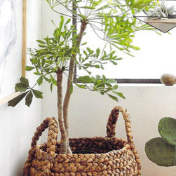 Roost Plantana Baskets - Set/2 - $275.00 - Kitchen Storage And Organization
