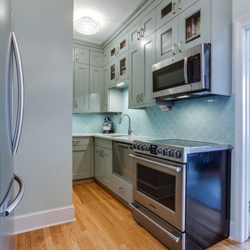 Historic D.C. Condo Kitchen