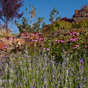 Natural Stone Mountain Landscape
