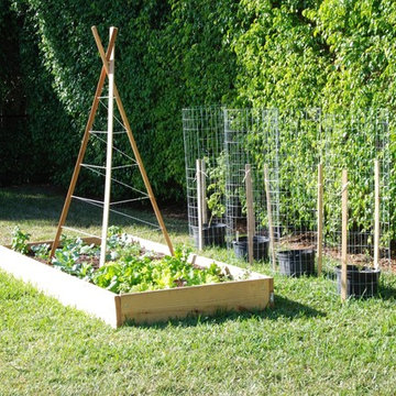 Edible Landscape Design