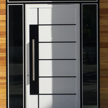 Aluminum Series Entry Doors