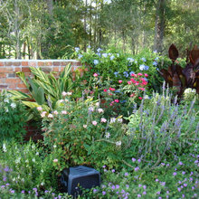 Landscape Ideas