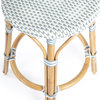 Beaumont Lane 24" Transitional Rattan Counter Stool in Sky Blue/White