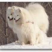 Ирина Головченко's photo