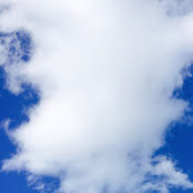 Steph EGro's photo
