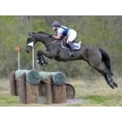 Oliver's Horses's photo