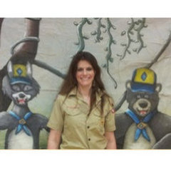 Artsee Monkey