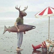 Alison McKinstrie's photo