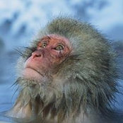 Kevin Alexander's photo