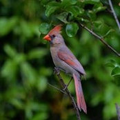 William Bradshaw's photo