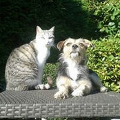Foto de Katrin Overbeck
