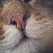 Kyla Summerfield's photo