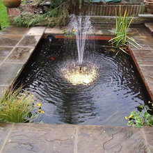 Pond