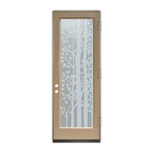 front doors