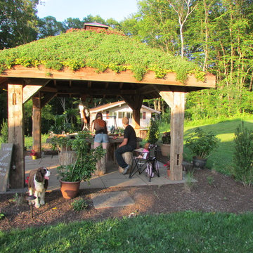 LIVE GREEN ROOF