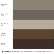 Color Palette