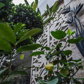 The House Of Plumeria,New Delhi by Renesa Architecture Studio.