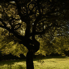 un rustico in città trasformato in un b and b