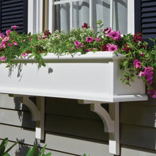 Window Flower Box