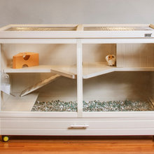 Bunny House