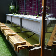 aquaponics