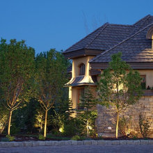 roof shingles