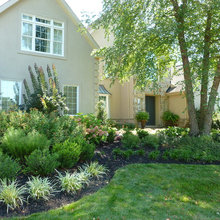 Garden ideas