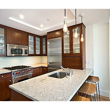 Contemporary Maple Stained Cabinets with Frosted Glass Doors
