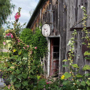 MIddleburry Horse Farm