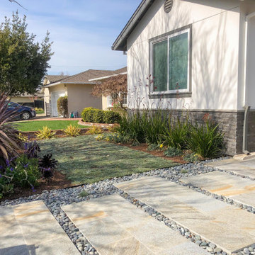 Contemporary yard for a contemporary house