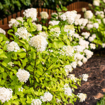 Variegated Bluestone Backyard Retreat in Glen Allen