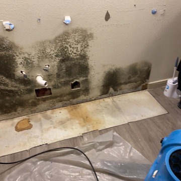 Apartment Mold Mitigation and Rebuild