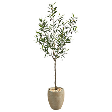 5.5' Olive Artificial Tree, Sand Colored Planter