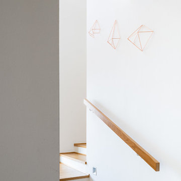 BIANCONIGLIO | 150 Mq