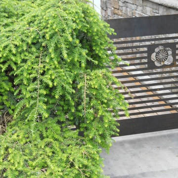 Lotus Symbol Garden