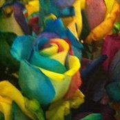 Shannon Yaeger's photo