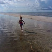 Deborah Roebuck's photo