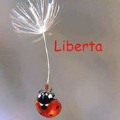 Sophie Arnaud's photo