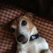 Barry Hancox's photo