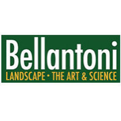 Bellantoni Landscape