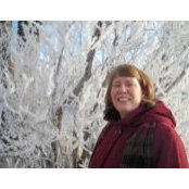Sharon Johnsons billede