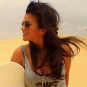 Shay Rezaei's photo