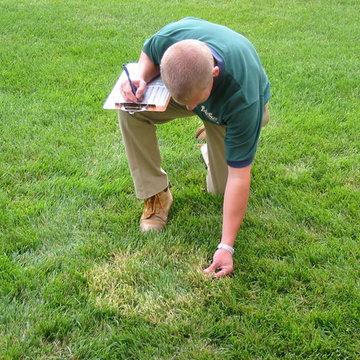 Lawn Care