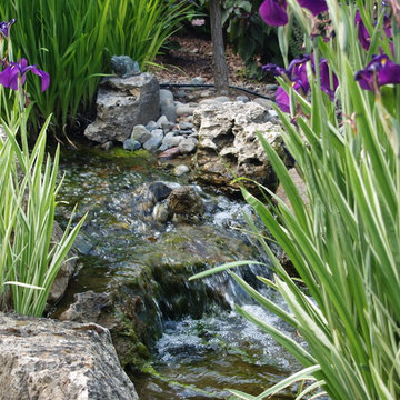 Ponds