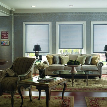 Roller Shades For The Living Room