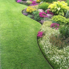 Exterior Ideas