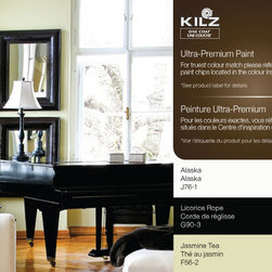 One Coat&trade; Paint - Paint