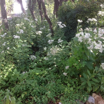 Pommelhouse Garden
