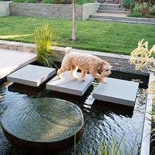 reflection pool