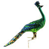 Morawski Colorful Clip On Peacock Ornament Bird Feather